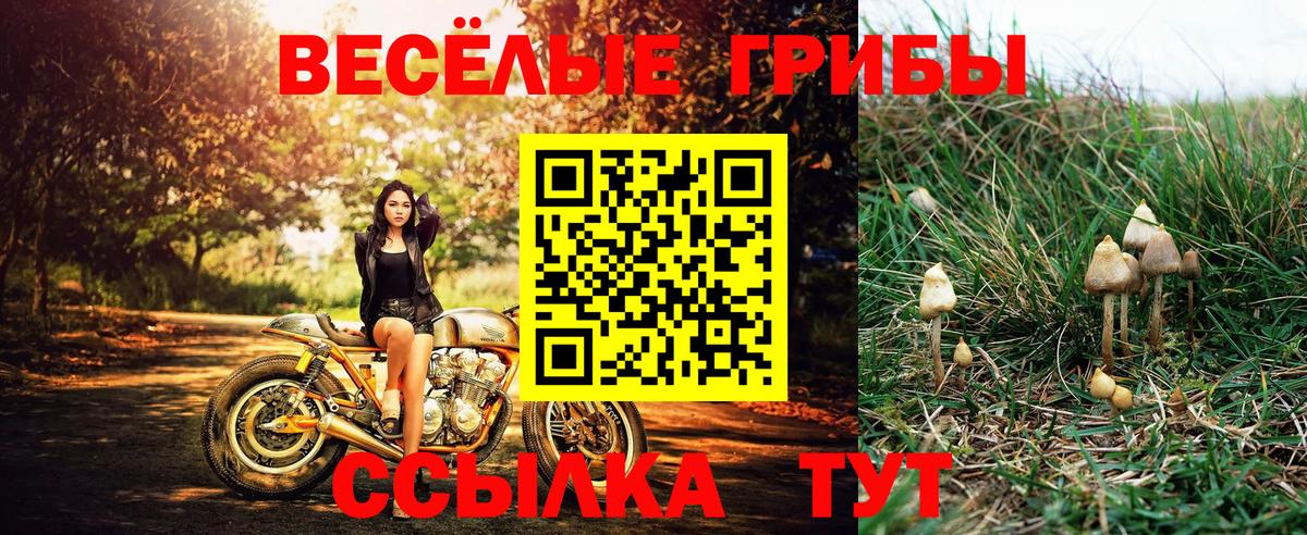 Псилоцибиновые грибы MAGIC MUSHROOMS  наркошоп  Лесосибирск  Вход с VPN 